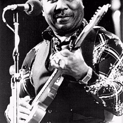 Muddy Waters