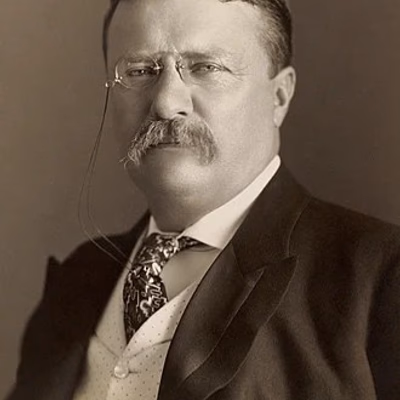 Theodore Roosevelt