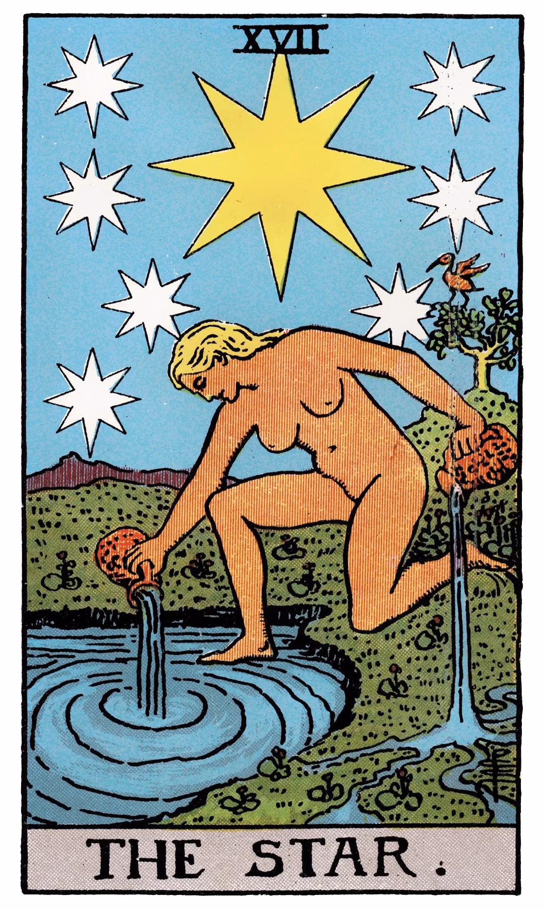 17. The Star