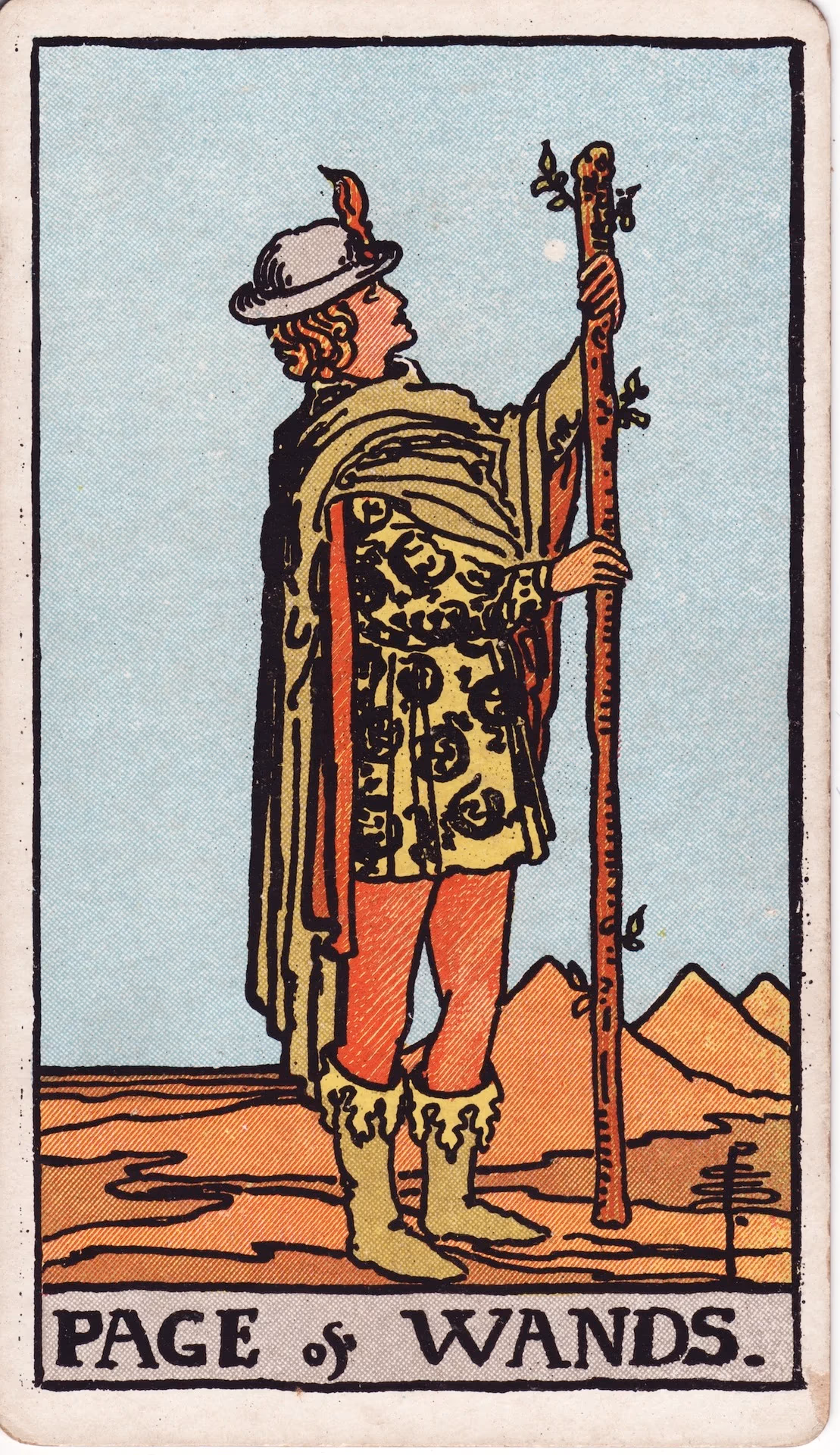 43. Page of Wands